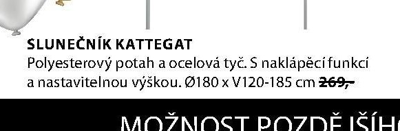 SLUNEČNÍK KATTEGAT