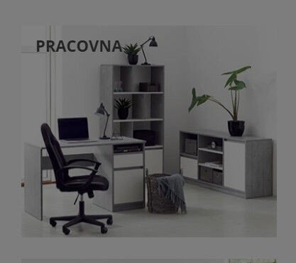 Pracovna