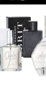 Burberry Brit