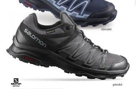 Salomon Leonis GTX (pánské)
