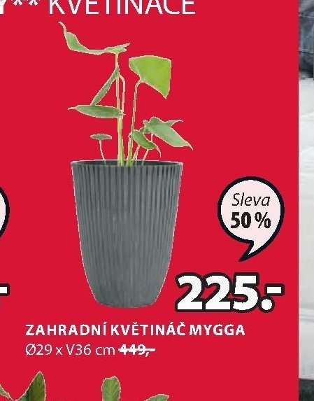 ZAHRADNÍ KVĚTINÁČ MYGGA