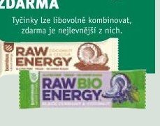 Bombus Raw Energy