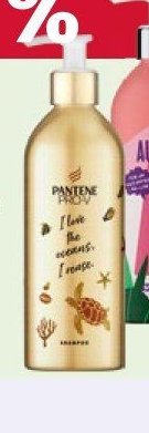 Pantene šampon