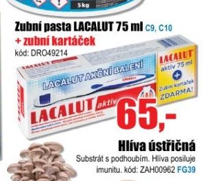 Zubní pasta LACALUT 75 ml + zubní kartáček