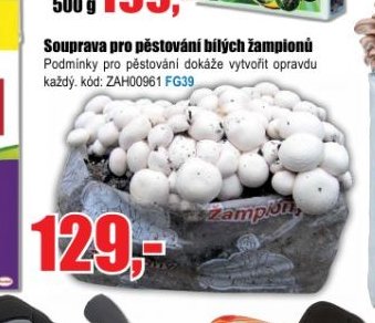 Souprava pro pěstování bílých žampionů