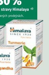 Himalaya Turmeric