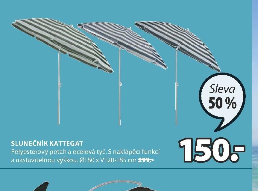 SLUNEČNÍK KATTEGAT