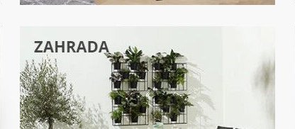 Zahrada