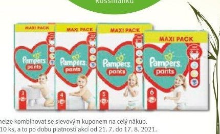 Pampers Pants Maxi Pack