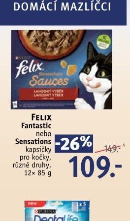 FELIX Fantastic nebo Sensations kapsičky pro kočky