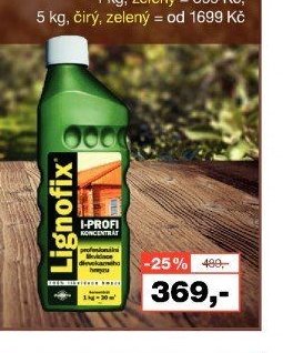 Lignofix I-profi