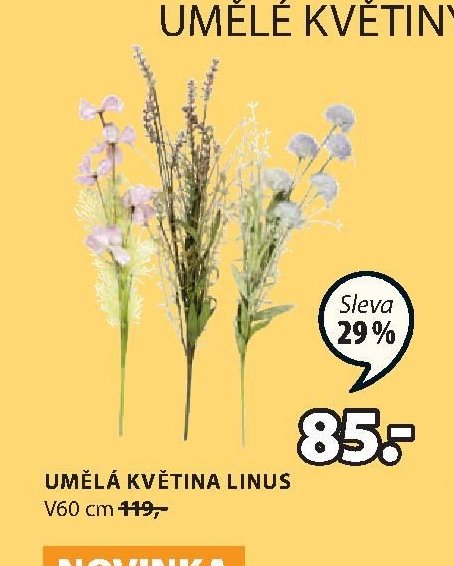 UMĚLÁ KVĚTINA LINUS