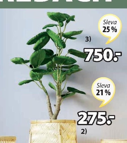 UMĚLÁ ROSTLINA ARVID