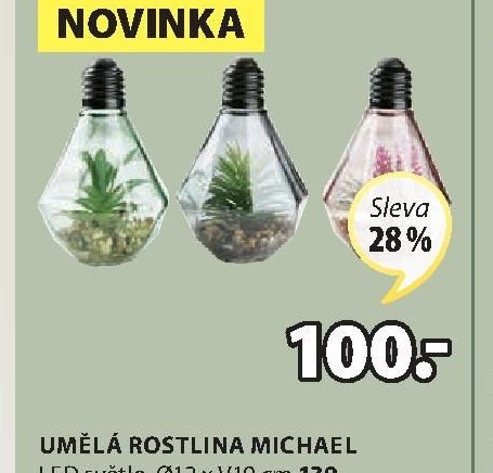 UMĚLÁ ROSTLINA MICHAEL