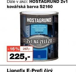 HOSTAGRUND 2v1 na železo S2160