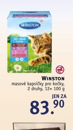 WINSTON masové kapsičky pro kočky, 2 druhy, 12x 100 g