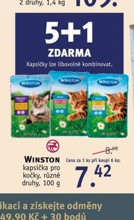 WINSTON kapsička pro kočky, různé druhy, 100 g