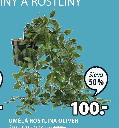 UMĚLÁ ROSTLINA OLIVER