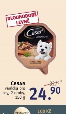 CESAR vanička pro psy