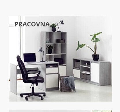 PRACOVNA
