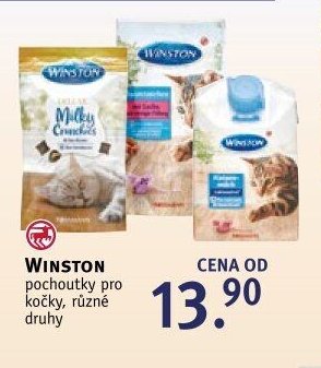 WINSTON pochoutky pro kočky