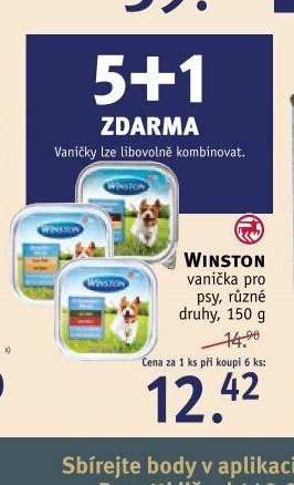 WINSTON vaničky pro psy