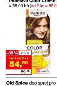 Palette Color Shampoo