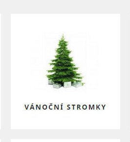 Vánoční stromky