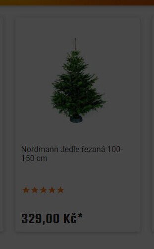 Nordmann Jedle řezaná 100-150 cm