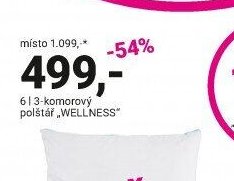 Vícekomorový polštář WELLNESS