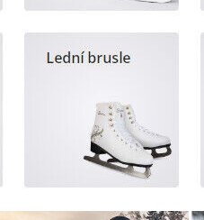 Lední brusle