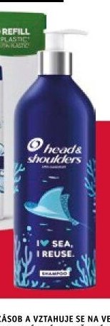 Head & Shoulders I Sea I Reuse