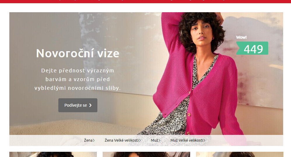 Novoroční vize