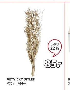 VĚTVIČKY DITLEF - Jysk aktualniletaky.eu