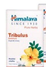 Himalaya Tribulus