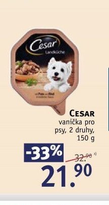 CESAR vanička pro psy
