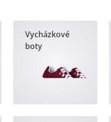 Vycházkové boty