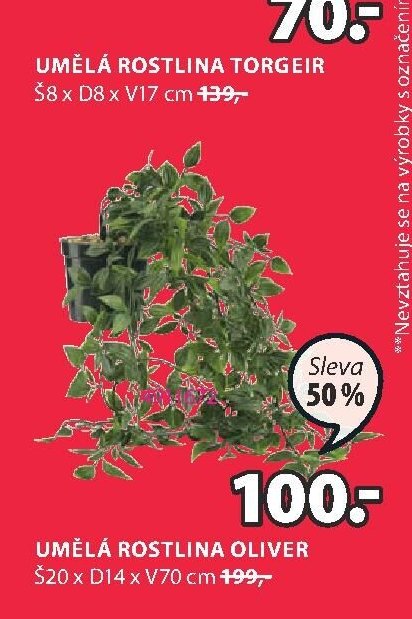 UMĚLÁ ROSTLINA OLIVER