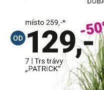 Trs trávy PATRICK