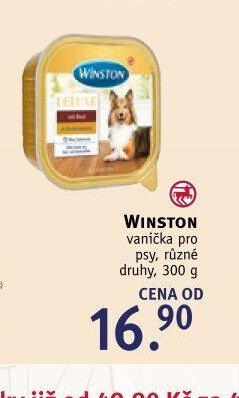 WINSTON vanička pro psy