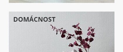 Domácnost