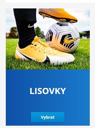LISOVKY