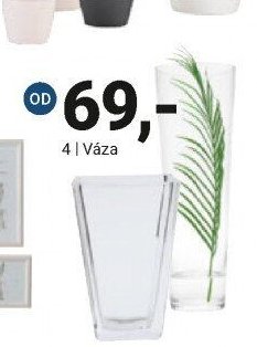 Váza