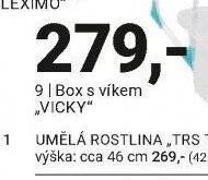 Box s víkem VICKY