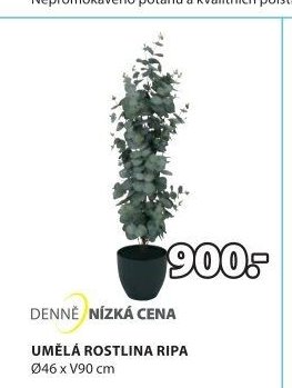 UMĚLÁ ROSTLINA RIPA