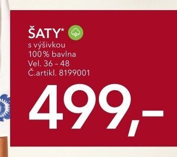 Šaty s výšivkou