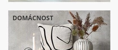 Domácnost