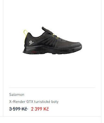 Salomon X-Render GTX turistické boty