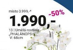 Umělá rostlina „PHALÄNOPSIS“
