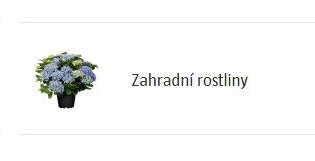 Zahradní rostliny